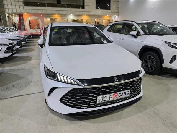 بي واي دي Qin Plus 2025 للبيع في العراق -  بغداد
